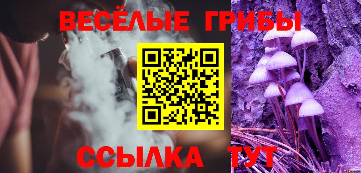 Галлюциногенные грибы прущие грибы  закладка  Сорочинск  Вход с VPN  Псилоцибиновые грибы MAGIC MUSHROOMS 